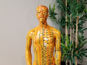 Acupuncture Sets