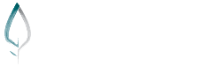 Simple Root Acupunture